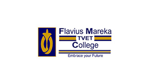 flaviusmareka